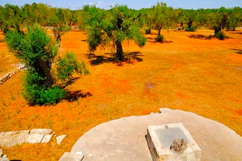 Old stone cistern with ancient olive trees, Salento, Apulia region, south Italy Stock Photos