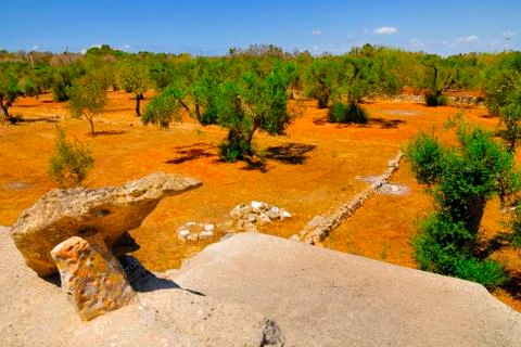 Old stone cistern with ancient olive trees, Salento, Apulia region, south Italy Foto stock