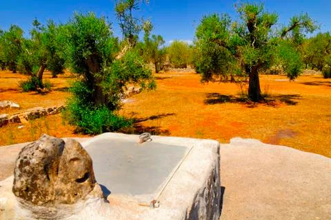 Old stone cistern with ancient olive trees, Salento, Apulia region, south Italy Stock Photos