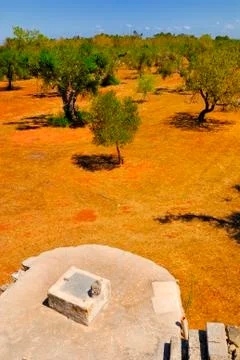 Old stone cistern with ancient olive trees, Salento, Apulia region, south Italy Stock Photos