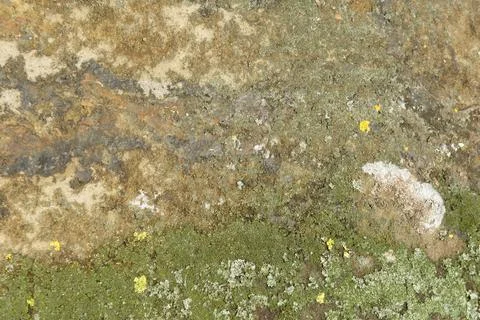 Old stone close up. stone textures. stone pattern Stock Photos