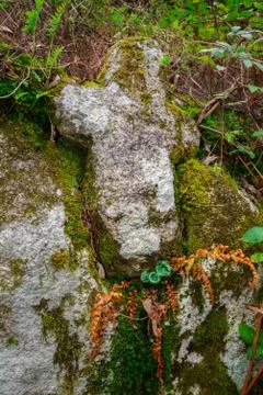 Old stone cross Stock Photos