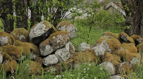 Old stone fence Stock Footage 38048252