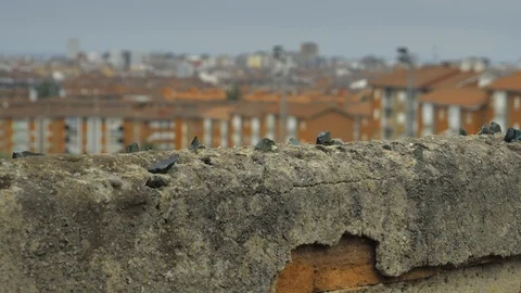 Old stone fence with sharp crashed bottles on the top and city district Stock Footage 94734778