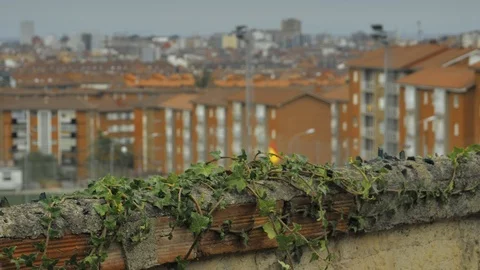 Old stone fence with sharp crashed bottles on the top and city district Stock Footage 94735624