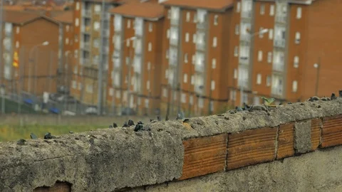 Old stone fence with sharp crashed bottles on the top and city district Stock Footage 94735996