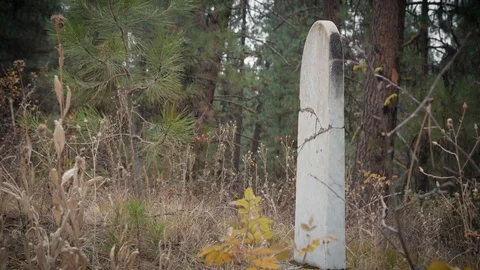 Old, Stone Grave Under the Falling Autumn Leaves Stock Footage 90870108