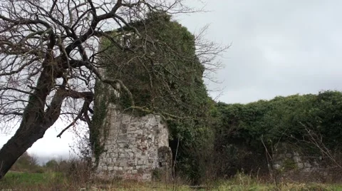 Old stone house and tree Stock Footage 46182045