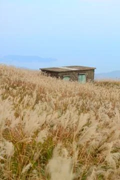 Old stone house with grass on the mountain Foto stock