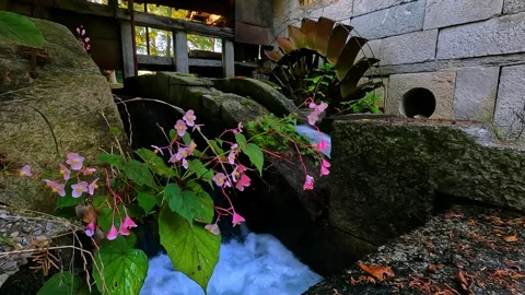 Old stone house with mill Stock Footage 256208646