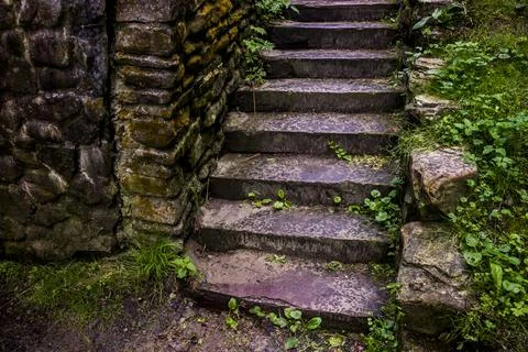 Old stone ladders in the forest Stock Photos