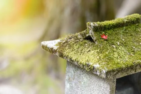Old stone lantern Stock Photos