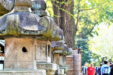 Old stone lanterns line a pathway in a Japanese Shinto temple Foto stock