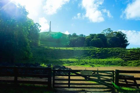 An old stone made tower built on top of green grass hill and trees Stock-Fotos