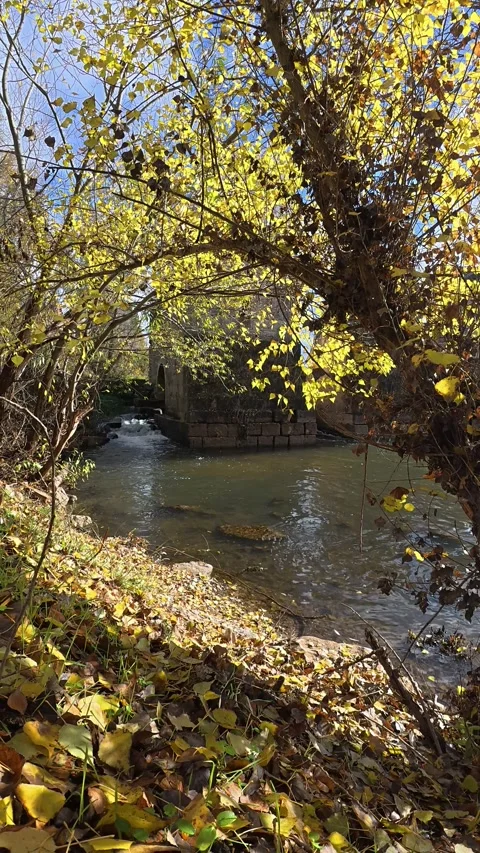 Old stone mill beside the river in autumn Stock Footage 322183033