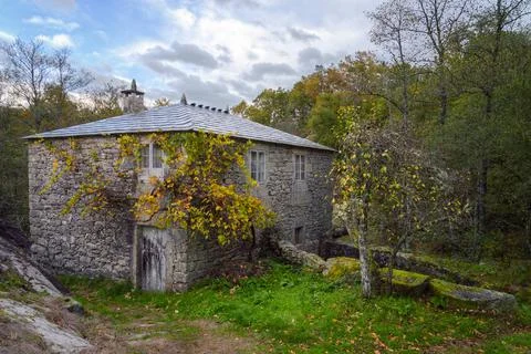 An old stone mill with a vine around the entrance gate Stock Photos