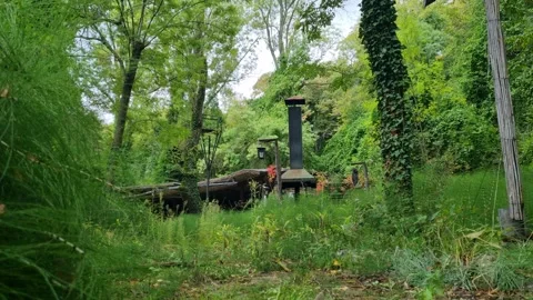 Old stone monument surrounded by lush green forest vegetation Stock Footage 319499292