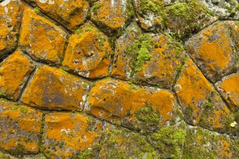 Old stone with moss background Foto stock