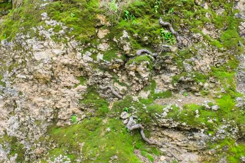 Old stone of the mountain wall Stock Photos