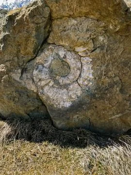 Old stone with a natural pattern in the form of a cochlea Photos