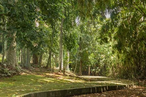 Old stone path around the trees in the park Stock Photos