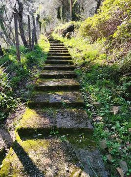 Old stone path between santa margherite ligure and nozarego village view Stock Photos