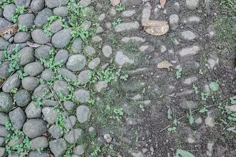 Old Stone Path Pattern with Soil and Wild Plants Stock Photos