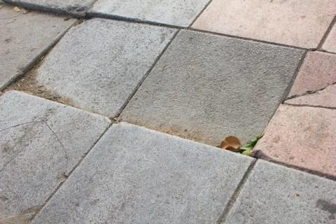 Old stone pathway Stock Photos