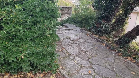 Old stone pathway surrounded by thick greenery in a quiet park area Stock Footage 322093199