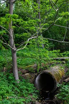 Old stone pipe in the forest from which a spring with clear water flows Stock Photos