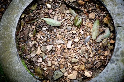 Old stone ring on the ground, filled with pebbles and old leaves Stock Photos