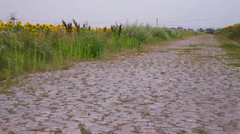 Old stone road in a field Stockbeeldmateriaal 62594639