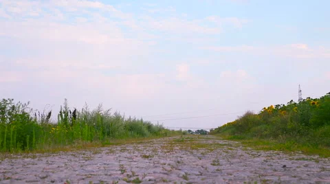 Old stone road in a field Video stock 62595375