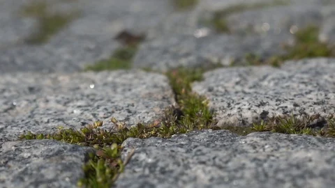 An Old Stone Road..Walking On Old Cobble-Stone Road. Cobble-Stone Background. Stock-Footage 103949720