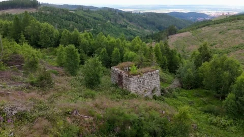 Old stone ruin on forested Harz hillside aerial view Germany Vídeo Stock 341282830