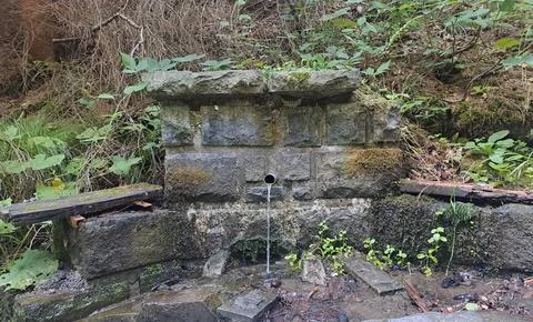 Old stone spring with flowing water in a forest. Stock Photos