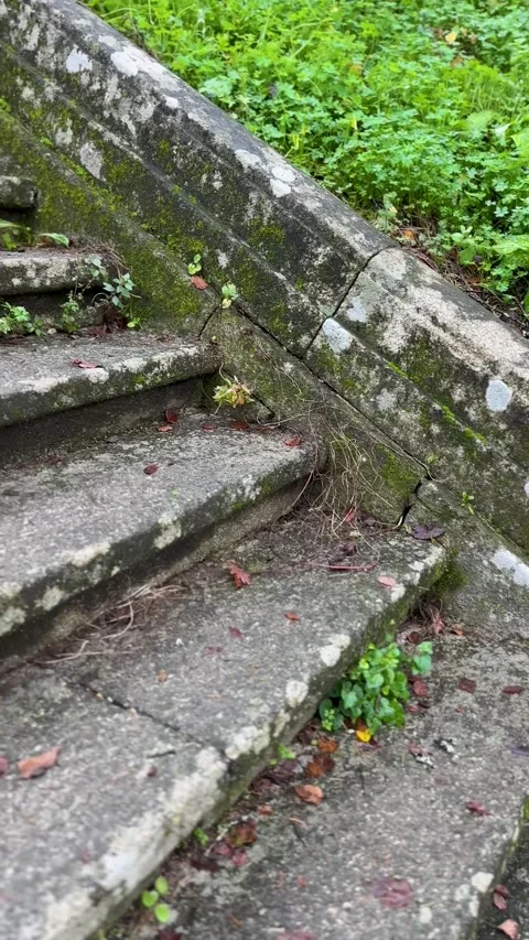 Old stone staircase Stock Footage 263847832