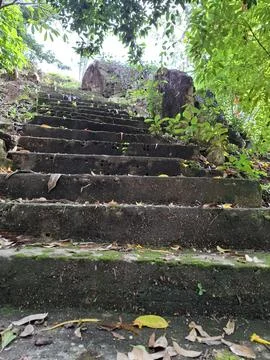 Old Stone Steps Covered with Green Moss and Plants in Tropical Forest Stock Photos