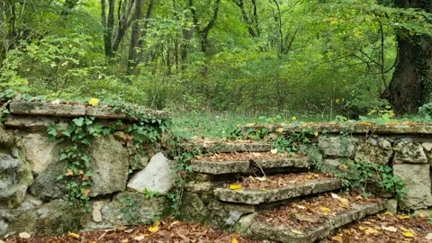 Old stone steps covered with moss in peaceful green forest Stock Footage 319060686