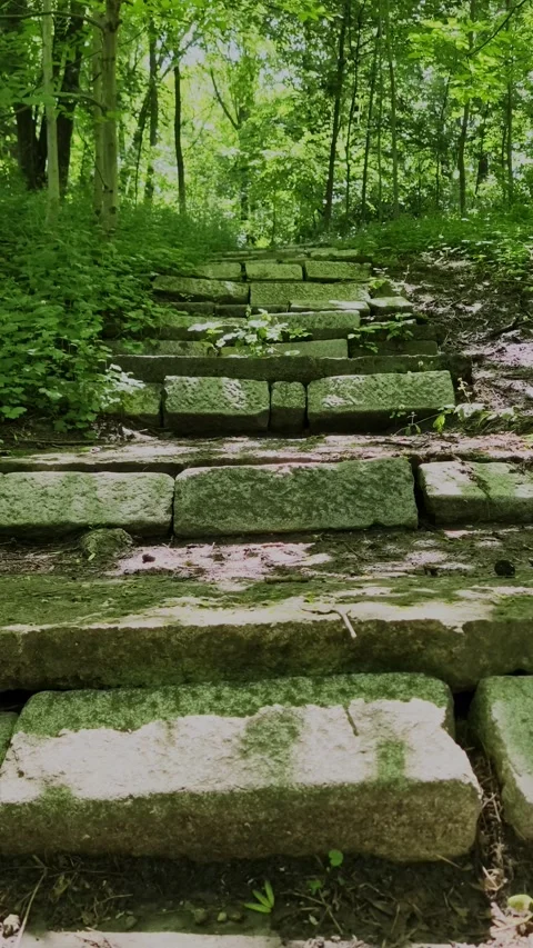 Old stone steps covered in moss leading up through a lush green forest. Stock Footage 336527545