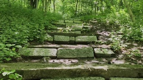 Old stone steps covered in moss leading up through a lush green forest. Stock Footage 336527546