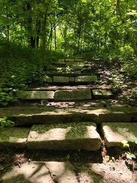 Old stone steps covered in moss leading up through a lush green forest. Fotos de archivo