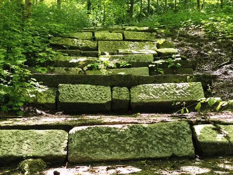 Old stone steps covered in moss leading up through a lush green forest. Fotos de archivo
