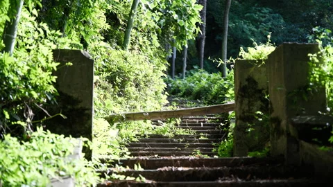 Old stone steps flanked by concrete pillars in overgrown subtropical garden 動画素材 347870839