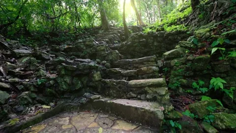 Old stone steps in the jungle in Palenque, Mayan Ruins. Camera pans up the Stock Footage 149843868