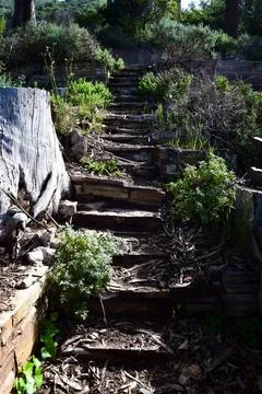Old Stone Steps to Nothing Fotos de archivo