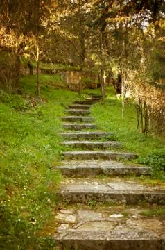Old Stone Steps Stock Photos