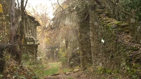 Old Stone Structures Covered in Moss Under Autumn Trees and Falling Snow Stock Footage 330280807