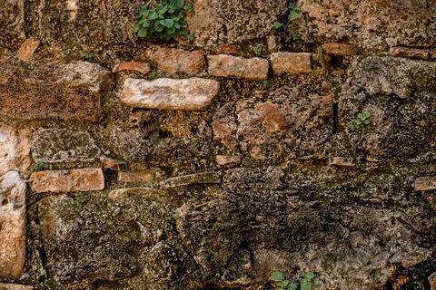Old stone surface on which moss and other green plants grow 스톡 사진