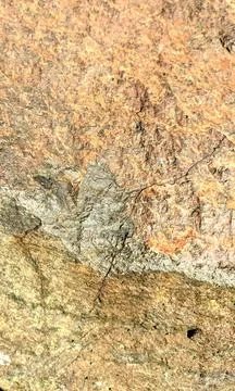 Old Stone Texture with Lines and Granate Close up Brick Stock Photos